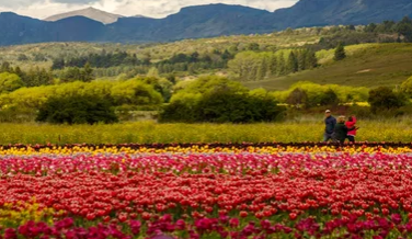 Ruta Fotográfica Trevelin