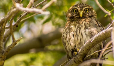 Visita Zona EcoProtegida
