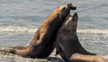 Recorrido por la Ruta Azul