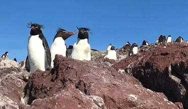 Puerto Deseado – Santa Cruz