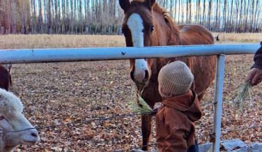 Día de Campo, Chacra "Los Cypreses"
